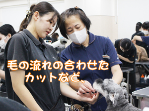 ２年生のトリミング実習♪
